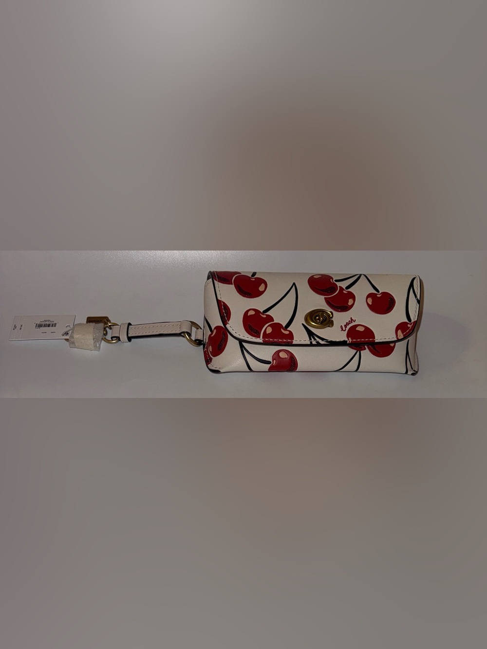 NWT Coach Cherry-Print Eye Glasses Case - Picture 2 of 9